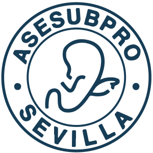 logo_asesubpro_173D56