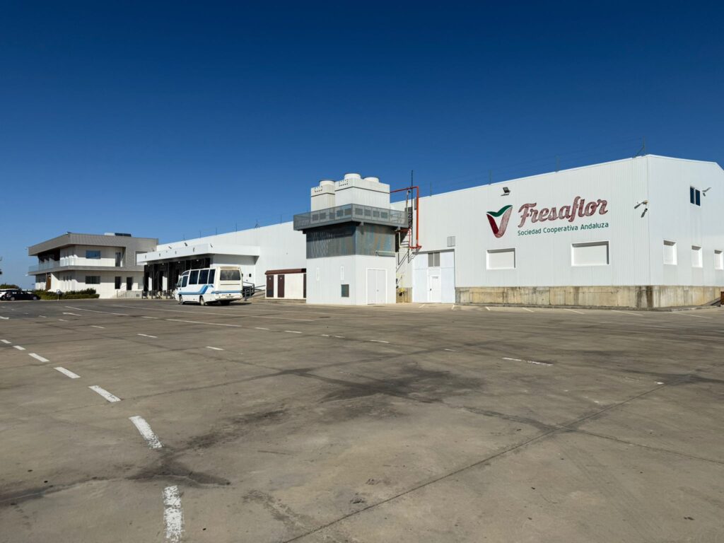 Fresaflor SCA, primera cooperativa agroalimentaria de Huelva con un Plan de Continuidad de Negocio 